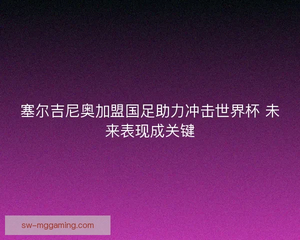 塞尔吉尼奥加盟国足助力冲击世界杯 未来表现成关键